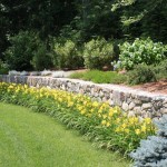 Fieldstone wall & planting design