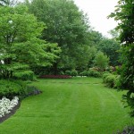 Plantings and lawn